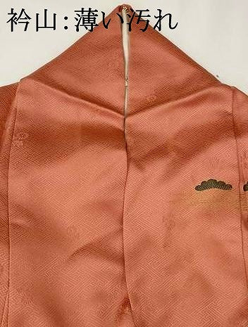 平和屋着物■訪問着　立波花松文　暈し染め　金彩　正絹　逸品　AABF8914st