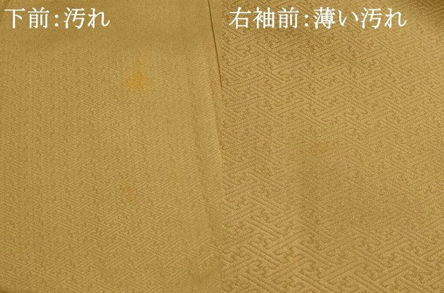 平和屋着物■訪問着　絞り　刺繍　芝花文　金銀彩　金糸　正絹　逸品　AABF8951st