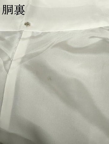 平和屋着物●国指定重要無形文化財　本場久米島紬　手織　蜻蛉　とんぼ　正絹　逸品　AABF9063cs