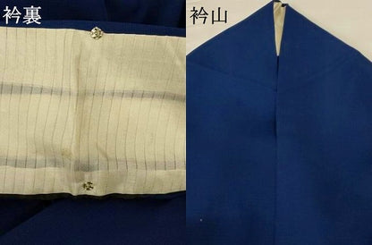 平和屋着物＊夏物 訪問着 絽 手描き 草花文 正絹 逸品 未使用 AABF9401jd