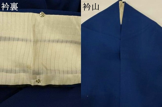平和屋着物＊夏物 訪問着 絽 手描き 草花文 正絹 逸品 未使用 AABF9401jd