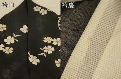 平和屋着物＊夏物 小紋 絽 舞花文 正絹 逸品 AABF9428jd
