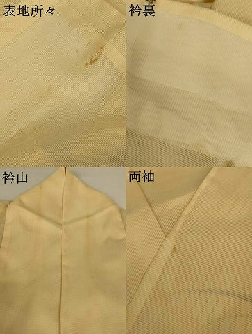 平和屋着物＊夏物 訪問着 絽 草花文 洗える着物 AABF9454jd