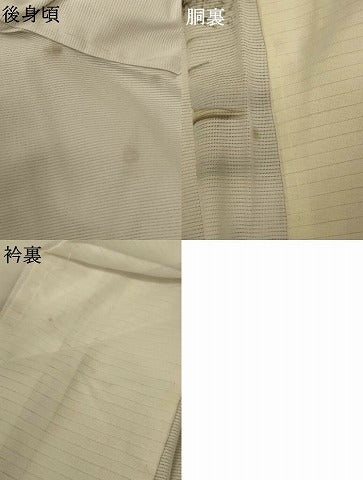 平和屋着物＊夏物 訪問着 絽 手描き 風景文 洗える着物 AABF9456jd
