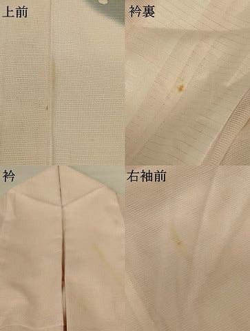 平和屋着物＊夏物 訪問着 絽 舞花文 洗える着物 AABF9463jd