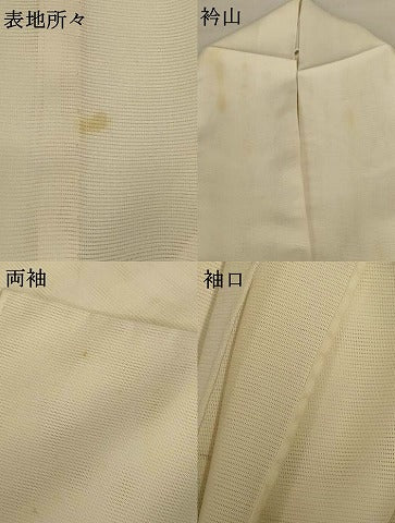 平和屋着物＊夏物 訪問着 絽 手描き カラー 洗える着物 AABF9468jd