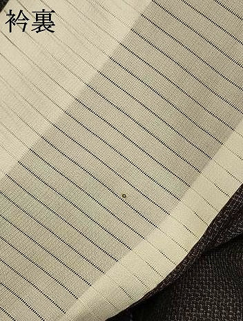 平和屋着物＊夏物 本場大島紬 夏大島 枝葉文 正絹 逸品 未使用 AABF9481jd