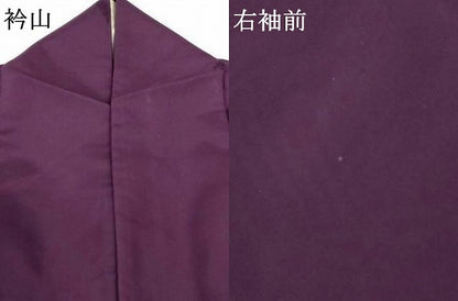 平和屋着物＊夏物 色無地 縦絽 笹竹紋紗 似せ紫色 洗える着物 AABF9490jd
