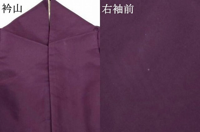 平和屋着物＊夏物 色無地 縦絽 笹竹紋紗 似せ紫色 洗える着物 AABF9490jd