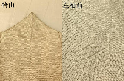 平和屋着物▽本塩沢 単衣 草花文 正絹 逸品 AABG0225jh