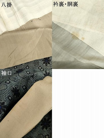 平和屋着物●本場大島紬　割込絣　舞花文　正絹　逸品　AABG0326cs