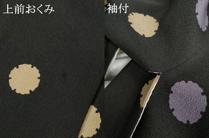 平和屋着物●人形作家・ホリヒロシ 小紋 雪輪文 黒紅色地 鬼しぼ縮緬 正絹 逸品 AABG0397cs