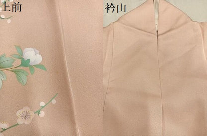 平和屋着物●訪問着 枝花文 暈し染め 金彩 正絹 逸品 AABG0412ph