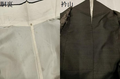 平和屋着物●本場大島紬　地空き　カタス9マルキ　草花間道　正絹　逸品　AABG0420ph