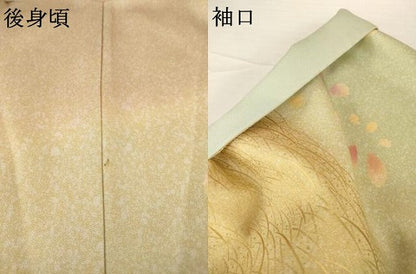 平和屋着物●訪問着 雪輪花文 暈し染め 金銀彩 正絹 逸品 AABG0838ck