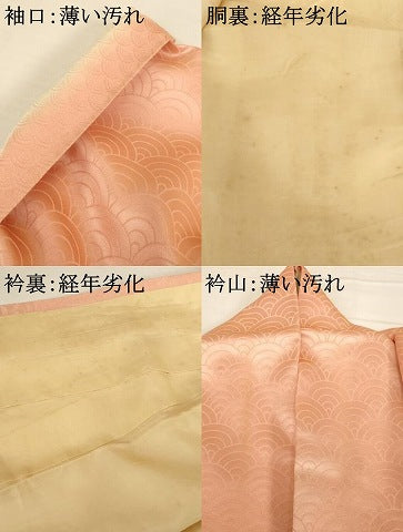 平和屋着物■上質な小紋 青海波地紋 暈し染め 正絹 逸品 AABG0843ck