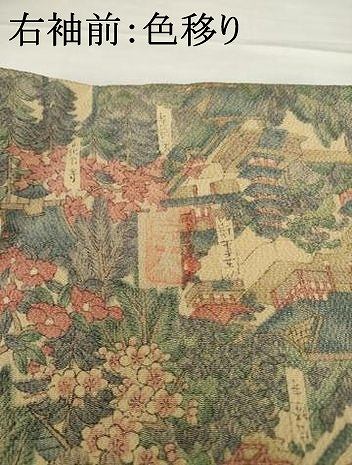 平和屋着物■上質な小紋 名所風景文 鬼しぼ縮緬 正絹 逸品 未使用 AABG0853ck
