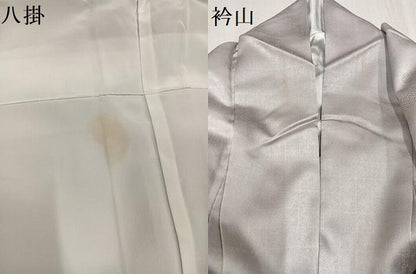 平和屋着物●洗える最高級着物　＜英＞はなぶさ謹製　訪問着　舞花文　AABG1109ph