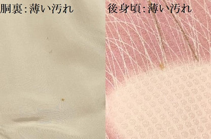 平和屋着物■訪問着　霞草花文　暈し染め　金彩　正絹　逸品　AABG1124sx