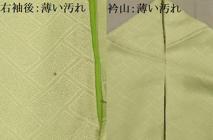 平和屋着物■訪問着　枝花文　暈し染め　正絹　逸品　AABG1192sx