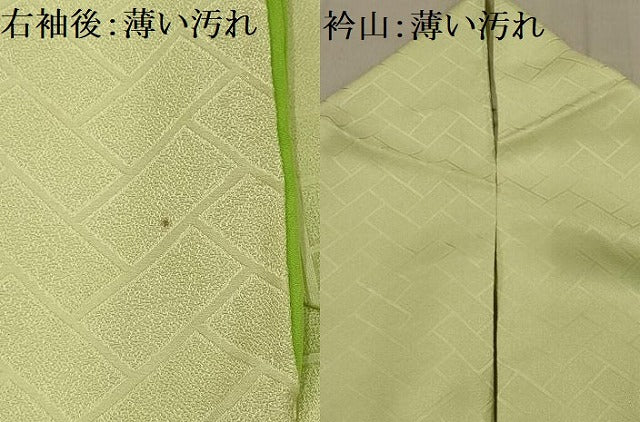 平和屋着物■訪問着　枝花文　暈し染め　正絹　逸品　AABG1192sx