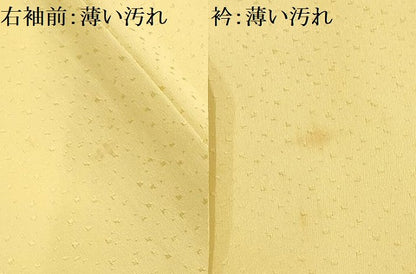 平和屋着物■訪問着　草花文　正絹　逸品　AABG1195sx