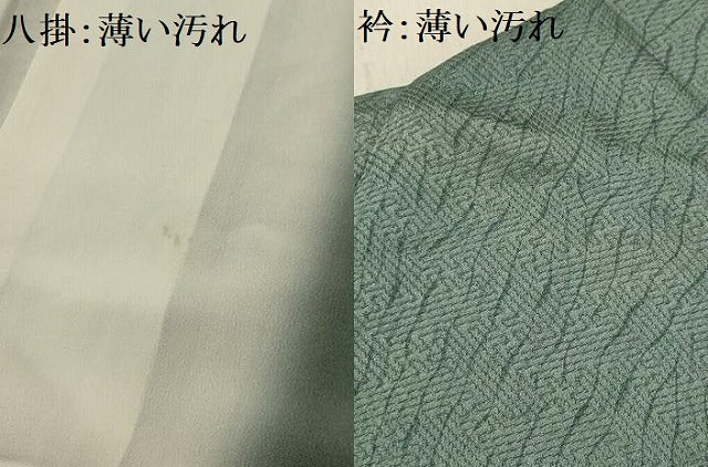 平和屋着物■訪問着　刺繍　草花文　金糸　金彩　正絹　逸品　AABG1197sx