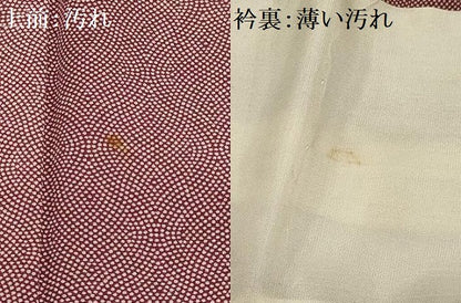 平和屋着物■江戸小紋　立涌文様　正絹　逸品　AABG1205sx