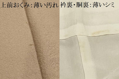 平和屋着物■上質な色無地　紋意匠　白茶色　正絹　逸品　AABG1215sx
