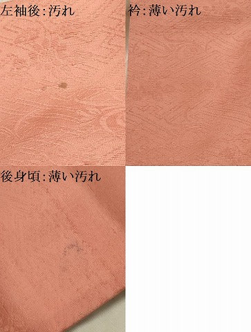 平和屋着物■訪問着　枝花文　正絹　逸品　AABG1237sx