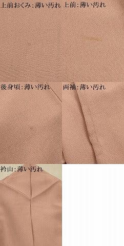 平和屋着物■本加賀友禅作家　成竹登茂男監修　色無地　紋意匠　虹色　正絹　逸品　AABG1238sx