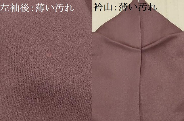 平和屋着物■訪問着　仕覆文　暈し染め　金銀彩　正絹　逸品　AABG1273sx
