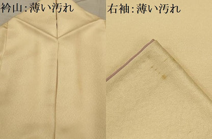 平和屋着物■訪問着　舞花文　正絹　逸品　AABG1285sx