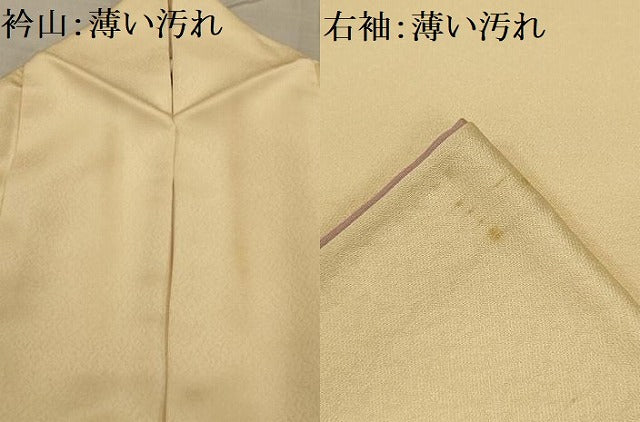 平和屋着物■訪問着　舞花文　正絹　逸品　AABG1285sx