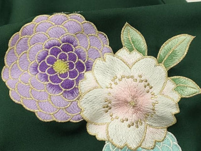 平和屋着物●女性　行灯袴　刺繍　小坂菜緒　草花文　鉄色　金彩　洗える着物　AABG1333sx