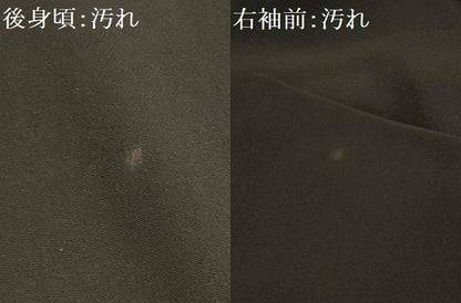 平和屋着物■豪華黒留袖　作家物　霞花文　金彩　正絹　逸品　AABG1337sx