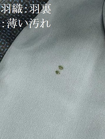 平和屋着物●男性　本場大島紬　アンサンブル　長襦袢(袷)セット　100亀甲　総詰め　証紙付き　正絹　逸品　AABG1344sx