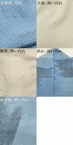 平和屋着物■上質な小紋　寿光織　霞文　金銀糸　正絹　逸品　AABG1357sx