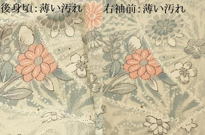 平和屋着物■上質な小紋　鳳凰花文　正絹　逸品　AABG1359sx