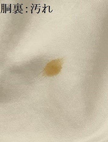 平和屋着物■上質な小紋　花蝶文　金彩　正絹　逸品　AABG1386sx