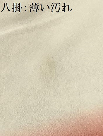 平和屋着物■上質な小紋 花鳥文 鬼しぼ縮緬 正絹 逸品 AABG1387sx