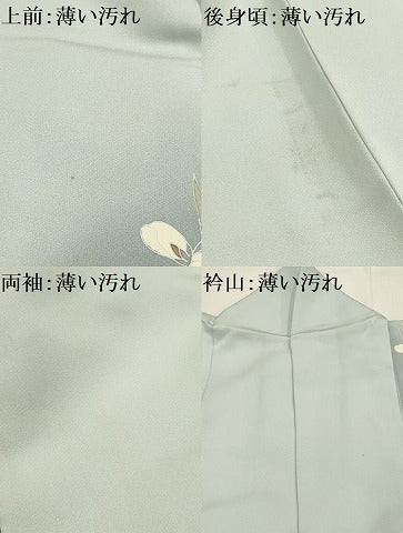 平和屋着物■訪問着 花鳥文 暈し染め 正絹 逸品 AABG1412sx