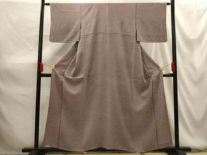 平和屋着物■上質な小紋 霞文 鬼しぼ縮緬 正絹 逸品 AABG1450sx