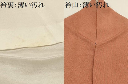 平和屋着物■上質な小紋 間道 正絹 逸品 AABG1500sx