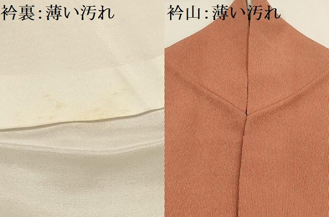 平和屋着物■上質な小紋 間道 正絹 逸品 AABG1500sx