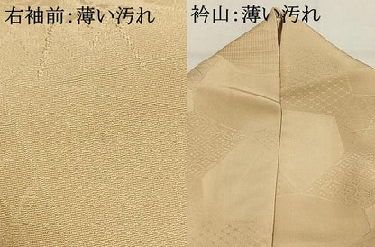 平和屋着物■上質な色無地 切嵌地紋 浅黄色 正絹 逸品 AABG1718fy