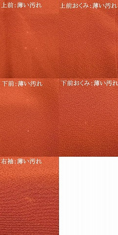 平和屋着物■色留訪問着 草花文 金銀彩 正絹 逸品 AABG1719fy