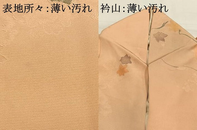 平和屋着物■上質な小紋 地紋起こし 枝花文 正絹 逸品 AABG1757fy