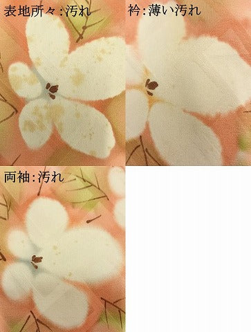 平和屋着物■上質な小紋 手描き 草花文 暈し染め 正絹 逸品 AABG1785fy