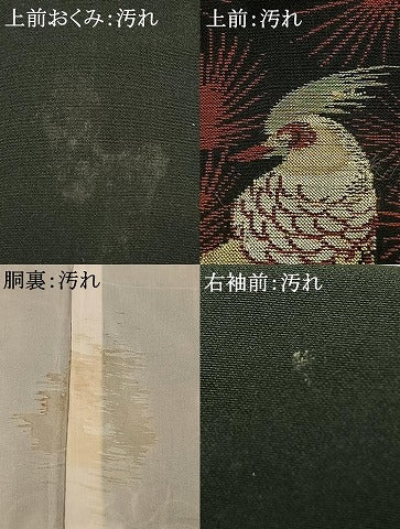 平和屋着物■上質なお召 花鳥文 黒地 正絹 逸品 AABG1860fy